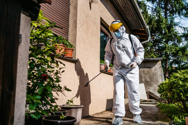 Best Bed Bug Extermination  in Missouri City, TX