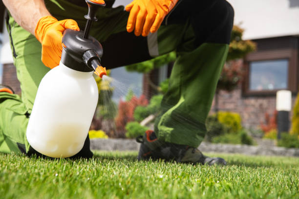 Best Pest Removal Services  in Missouri City, TX