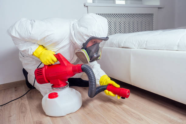 Best Rat Extermination Near Me  in Missouri City, TX