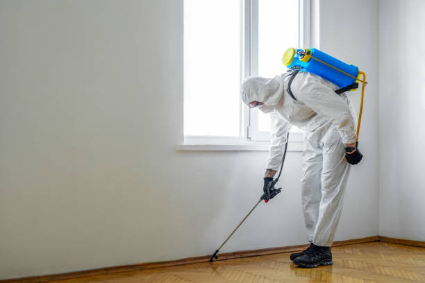 Best Insect Control  in Missouri City, TX