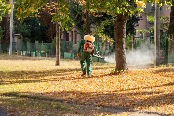Best Termite Control Services  in Missouri City, TX