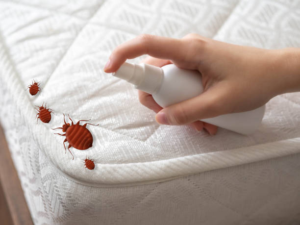 Pest Control Cost in Missouri City, TX