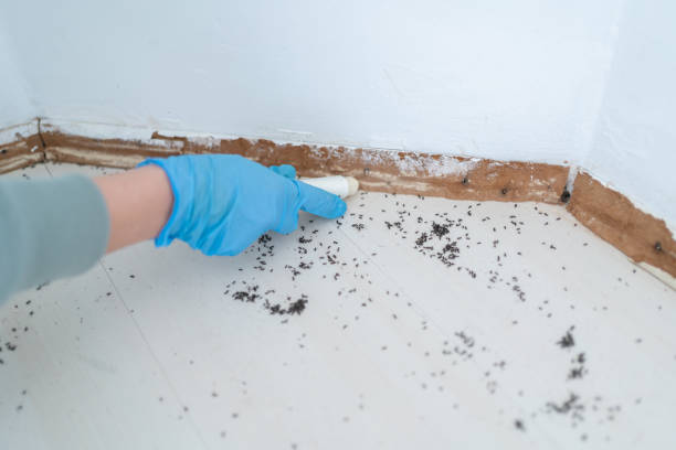  Missouri City, TX Pest Control Pros