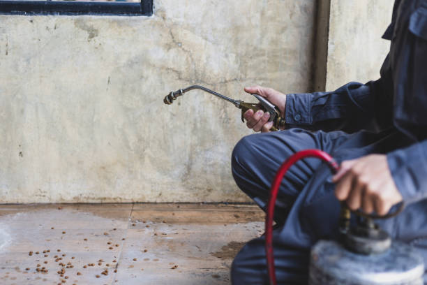 Best Commercial Pest Control Services  in Missouri City, TX